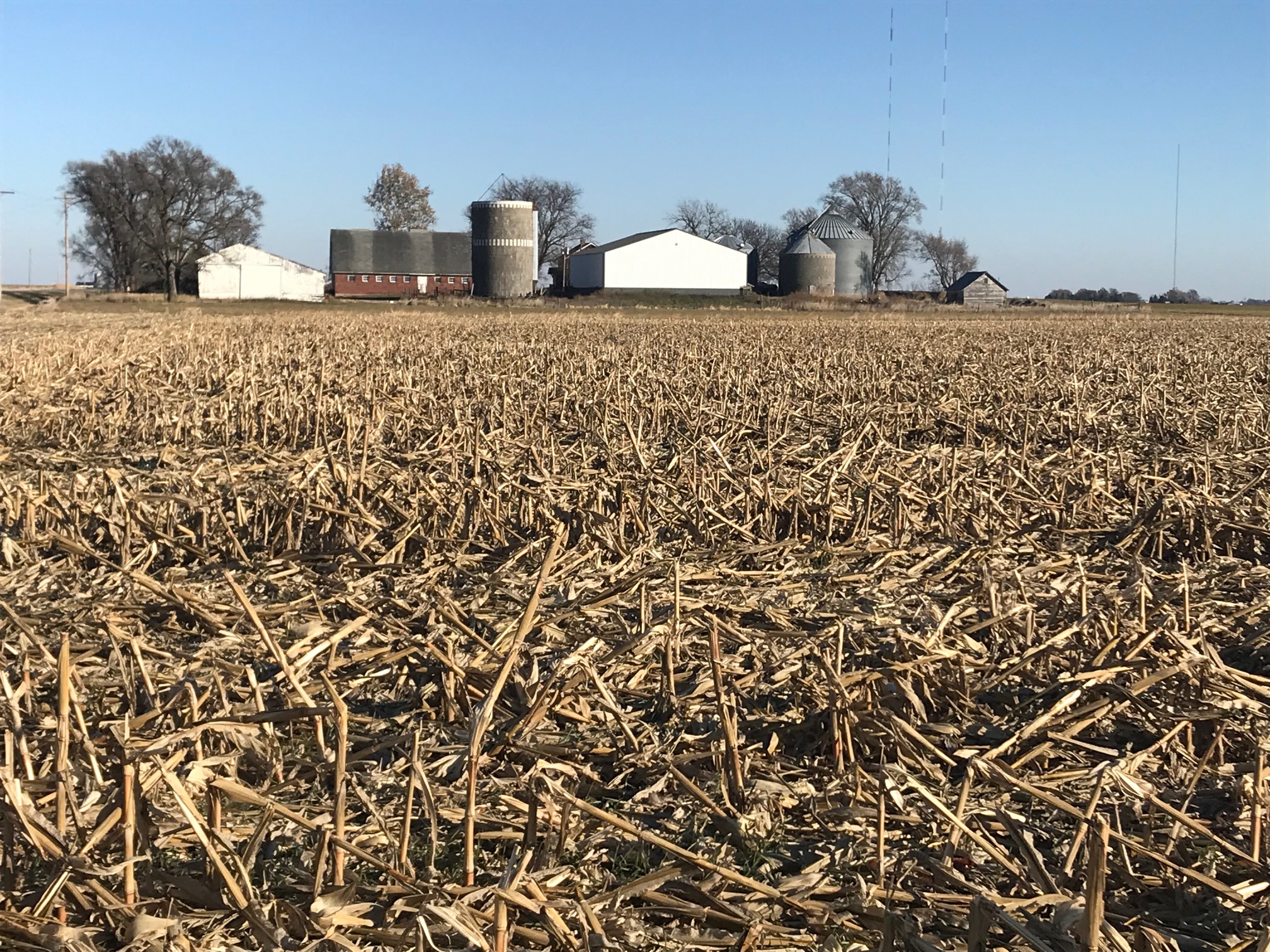 Harvested corn field with a Midwest farmstead and silos in the distance